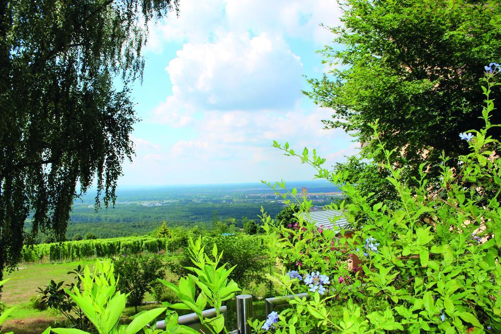 Schoene Aussicht Alzenau Exterior foto