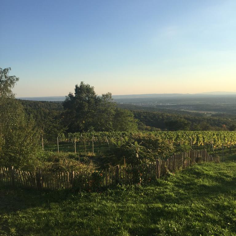 Schoene Aussicht Alzenau Exterior foto