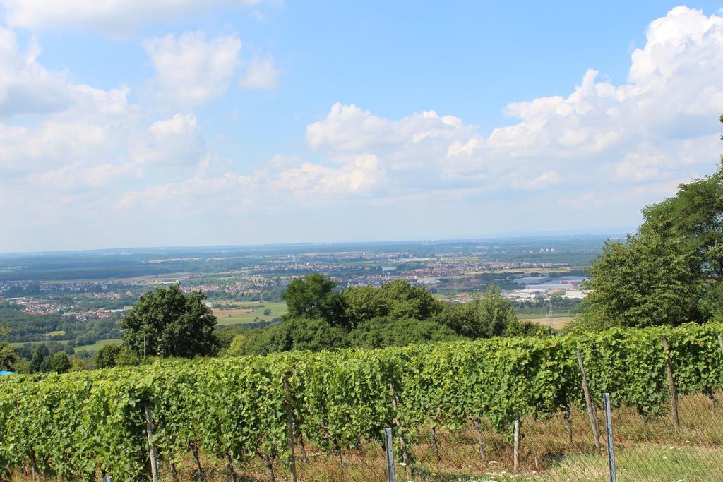 Schoene Aussicht Alzenau Exterior foto